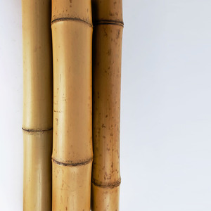 Estacas de Bambú Secas, Tratadas y Fumigadas, Listas para Enviar, Estacas de Jardín de Bambú de Vietnam - Product Image 4