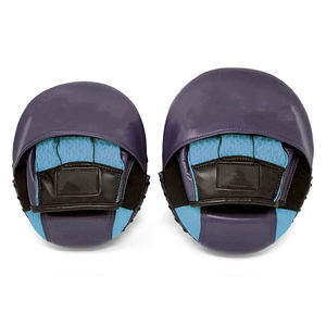 Manoplas de Boxeo Personalizadas, Manoplas de Entrenamiento Profesional Hechas a Medida, Almohadillas de Enfoque Curvas, OEM - Product Image 3