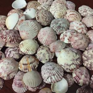 CARAVANAS ARTESANALES PREMIUM/LISTO PARA USAR/PARA DISEÑO DE JOYERÍA, DECORACIÓN INTERIOR Y ARTESANAL - Product Image 2