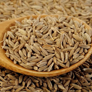 Semillas de Comino IPM de Alta Calidad, Jeera Limpia, Grado Bold, Sin GMO, Suministro a Granel Disponible para Exportación a Singapur, 24 Meses de Vida Útil - Product Image 1