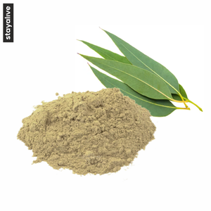 Polvo de eucalipto puro y natural de alta calidad | Polvo de hoja de eucalipto | Eucalyptus Staigeriana - Product Image 4