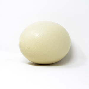 Hot <b>Sale</b> Chicken <b>Eggs</b>, Ostrich <b>Eggs</b>, Fresh Table <b>Eggs</b> Brown & White Farm Fresh Chicken <b>Eggs</b> Offer Free Sample - Product Image 6