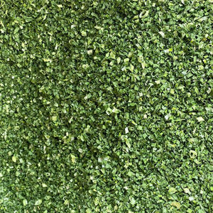 Organic Whole Dried Scallions in Bulk Packaging WA0084972678053 AD Drying Process Vietnam Origin for Instant Spice - Product Image 5