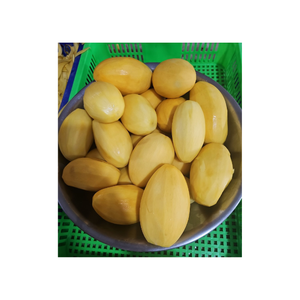 Proveedor de Vietnam, cubos de Mango congelado IQF, rebanadas enteras para batidos, postre, jugo, exportación de frutas tropicales al por mayor - Product Image 2