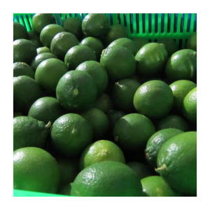 Citron vert frais d'origine vietnamienne/citron sans pépins au goût naturel aigre/agrumes de qualité supérieure pour l'exportation - Product Image 1