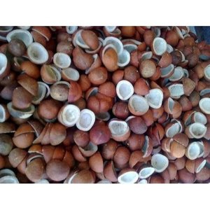 Copra de noix de coco séchée de la meilleure qualité, 100% naturelle, haute qualité, bon prix, en provenance d'Indonésie - Product Image 5