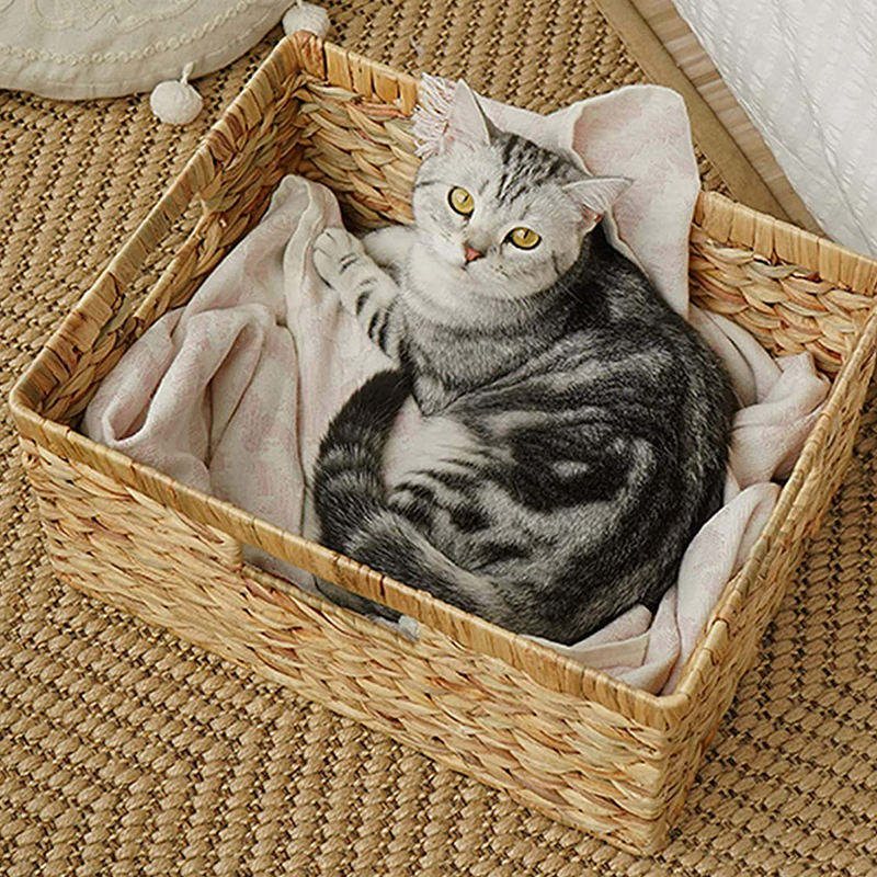 ธรรมชาติ