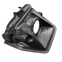 Cubierta de Fibra de Carbono Real de Repuesto para Ducati Diavel V4, Marca Carbonart