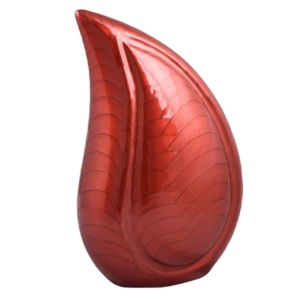 Hite-orejera de iluminación para el hogar, Accesorio luminoso de remación para el hogar - Product Image 3