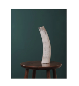 แจกันดอกไม้รูปควายโบราณสำหรับติดผนัง3ชิ้นทำจากโลหะขาตั้งเขาวัว - Product Image 3