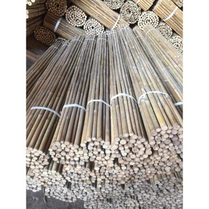 Piquets en bambou durables et droits, support de plantes, différentes tailles, bateau du Vietnam, matière première en bambou naturel pour le jardinage - Product Image 4