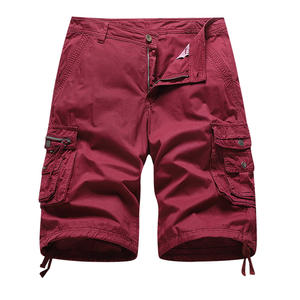 Short coloré à cordon de serrage pour homme, short de gymnastique à séchage rapide, de Sport, de Fitness, de Jogging, respirant - Product Image 1
