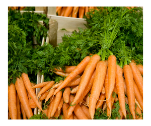 Les fabricants de carottes fraîches fournissent des carottes à bon prix à vendre - Product Image 3