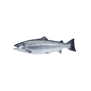 Đầy đủ cá hồi 15kg Top Grade đông lạnh cho bán buôn và nhà nhập khẩu - Product Image 1