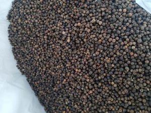 Anna DO ขายส่งเครื่องเทศเดียวและสมุนไพร600GL 500GL 550GL 5mm พริกไทยดำดิบแห้งจากเวียดนามสะอาด/คำถาม/Asta ได้รับการรับรอง - Product Image 2