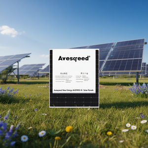 Panneau solaire Avespeed New Energy AVE190D-18 - Product Image 3