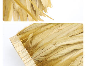 20-25CM une variété <span class=keywords><strong>de</strong></span> couleurs dépouillé queue <span class=keywords><strong>de</strong></span> <span class=keywords><strong>coq</strong></span> plumes <span class=keywords><strong>cheveux</strong></span> tissu bord Performance costume - Product Image 2