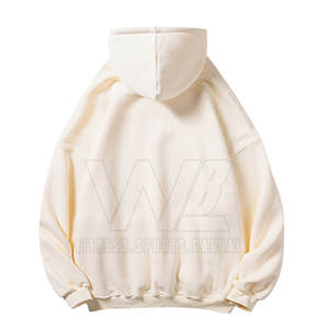 Sudaderas con capucha de invierno personalizadas de alta calidad para hombre cómodas con estampado en relieve y Puff Technics directo de fábrica al por mayor 100% algodón - Product Image 2