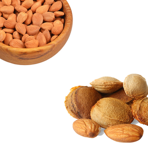 Apricot Kernel | Non-GMO และอุดมไปด้วยประโยชน์ของสมุนไพร - Product Image 5
