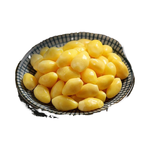 VF Crujiente Ginkgo Pistacho Saludable Especialidad Dura Salado Sabor a granel Ginkmonds cocidos instantáneos Venta al por mayor Nueces sin cáscara Stock - Product Image 4