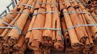 Vietnam branche coupe cassia cannelle de qualité supérieure Hot seeling fournitures prix bâton de cannelle cannelle de fabrication vietnam