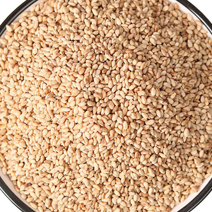 Neue ODM Fabrik preis Sesam Samen Pakistan Günstige Sesam Preis pro Tonne Rohe Weiße Sesam Samen - Product Image 4