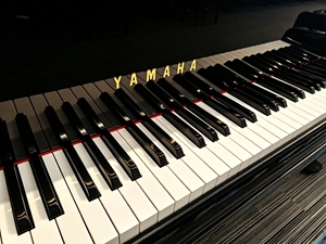 เปียโนแกรนด์ Yamaha G2 สีดำ รุ่นประสิทธิภาพสูง 3 แกรนด์ ดีไซน์คลาสสิก สำหรับการแสดงบนเวทีและในสตูดิโอ ให้เสียงอะคูสติกที่ไพเราะ G2 G3 G4 G5 G6 - Product Image 3