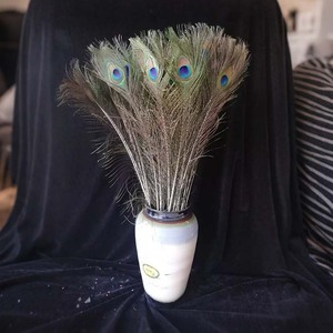 Nhà Máy Bán Buôn Con Công Tự Nhiên Lông Mắt Lớn Con Công Nhuộm Cho Đám Cưới Đảng Trang Trí Nhà Hoặc Tự Làm Dự Án - Product Image 6