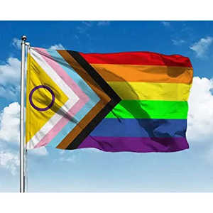 Nueva Bandera del Orgullo Intersexual 3x5, Resistente a la Decoloración, para Exteriores, Arcoíris, Bisexual, LGBTQ+, Gay - Product Image 5