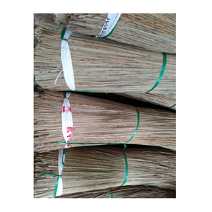 BUEN PRECIO PARA PALM BROOMSTICK Y COCO BROOM STICK PARA ORDEN DE VIETNAM 2024 - Product Image 1