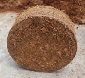 บล็อกโคโคพีท อาราวา โปร 5 กก. (30 ซม. x 30 ซม. x 12 ซม.) 100% ธรรมชาติ ได้รับการรับรองจาก OMRI ย่อยสลายได้ทางชีวภาพและนำกลับมาใช้ใหม่ได้ ค่า pH 5.5-6.8 - Product Image 2