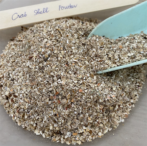 Cáscara de Cangrejo de Vietnam con el Mejor Precio y Alta Calidad/ Cáscara de Cangrejo de Vietnam - Product Image 1