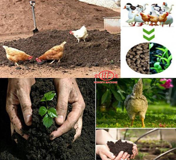Hongfa Organic Fertilizer Making Machine Chicken