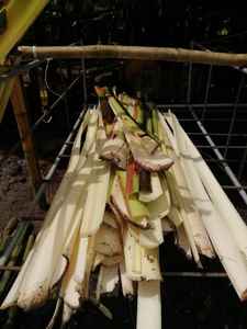 Fibre de banane naturelle de qualité supérieure fabriquée à partir de bananier naturel à bas prix de Vigifarm - Product Image 5