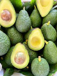 Calidad Premium Quality Fresh Fuerte/Hass Aguacates en venta Mejor calidad - Product Image 4