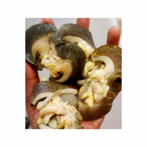 Gusano de harina de alta calidad disponible precios competitivos al por mayor para las industrias de acuicultura de ganado cerdo caballo 25 kg/bolsa/Embalaje de tambor - Product Image 2