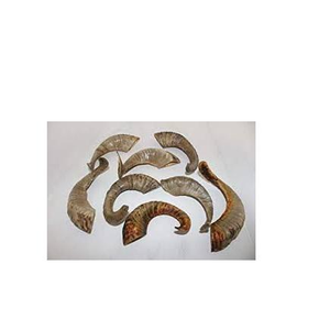 Corne de bélier/corne de mouton de haute qualité artisanat naturel 100% corne de bélier de mouton naturelle polie par Tradebit - Product Image 5