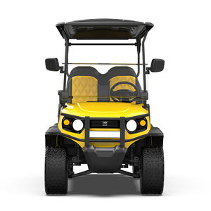 리튬 배터리 (태양 전지판 포함) 2 4 6 시트 리프트 오프로드 전기 전동 골프 카트 버기 4x4 전기 골프 카트 - Product Image 2