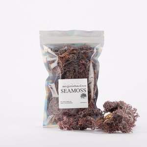 สาหร่าย Eucheuma cottonii บริสุทธิ์ - Product Image 5