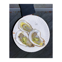 Purified Standard Oyster Whole Salt-Preserved Wholesale Bulk Supply Discount Price Ocean Fresh Vacuum Pack Frozen 12kg