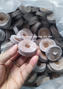 Suelo para macetas, turba de coco y pellets de turba de coco como suelo nutritivo para plantas de Eco2go Vietnam - Product Image 5