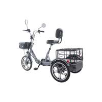 Tricycle électrique pliable 48V 350W avec moteur sans balais à roue arrière, vitesse maximale 25 km/h, pneu de 16 pouces, acier à haute teneur en carbone, charge maximale 200 kg