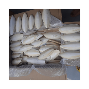 Cao Cấp Khô Mực Xương-Các Sản Phẩm Tốt Nhất Để Nhập Khẩu Từ Việt Nam Chất Lượng Cao Và Chi Phí-Hiệu Quả - Product Image 5