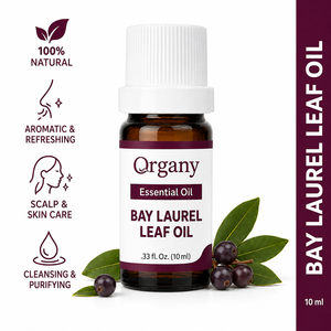 Huile Essentielle de Feuille de Laurier 100% Pure Laurus Nobilis Distillée à la Vapeur Vente en Gros Marque Privée OEM Aromathérapie Cheveux - Product Image 1