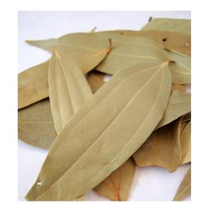 ใบอบเชยอบแห้งคุณภาพสูงสำหรับเครื่องเทศและกลิ่นหอม - Product Image 1