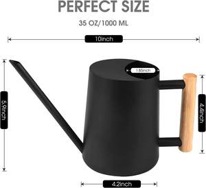 Arrosoir moderne en acier inoxydable pour plantes d'intérieur 35 oz 1000 ml Petit pot d'arrosage en métal - Product Image 6