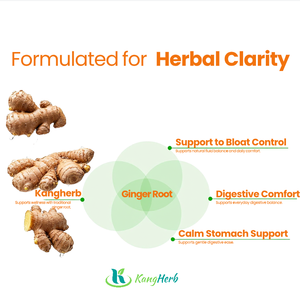 Suplemen Herbal Vegan Grosir OEM Kapsul Jahe 1000mg Kapsul Jahe - Product Image 3