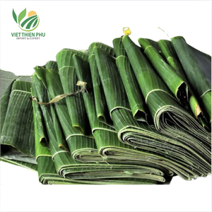 ใบตองแช่แข็ง Viet Thien Phu-คุณภาพระดับพรีเมี่ยมแช่แข็งสดและเหมาะสำหรับการทำอาหารและบรรจุภัณฑ์แบบดั้งเดิม - Product Image 2