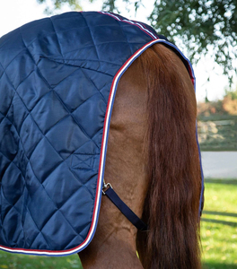 Couverture d'extérieur professionnelle imperméable et respirante pour chevaux, durable, pour l'écurie et le paddock - Product Image 4