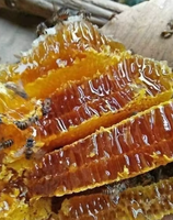 Gâteau au miel de fleurs 100% naturel Délice riche, cru et prêt à déguster Dessert d'origine vietnamienne Goût // Mme Lily